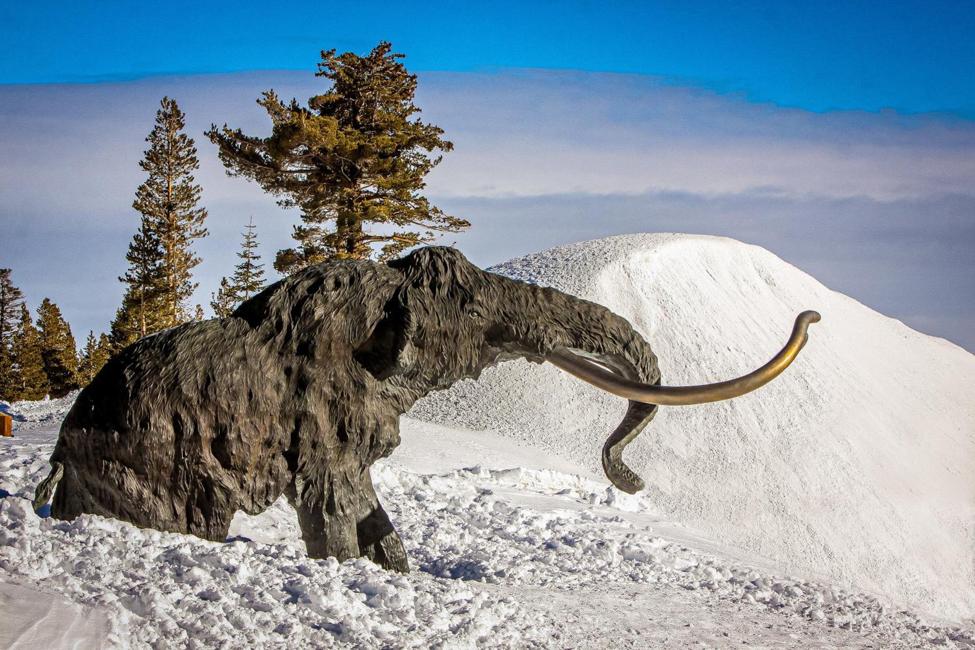 Mammoth Ski & Racquet Club #131 Mammoth Lakes Esterno foto